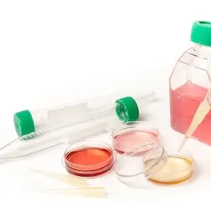 Plasticware