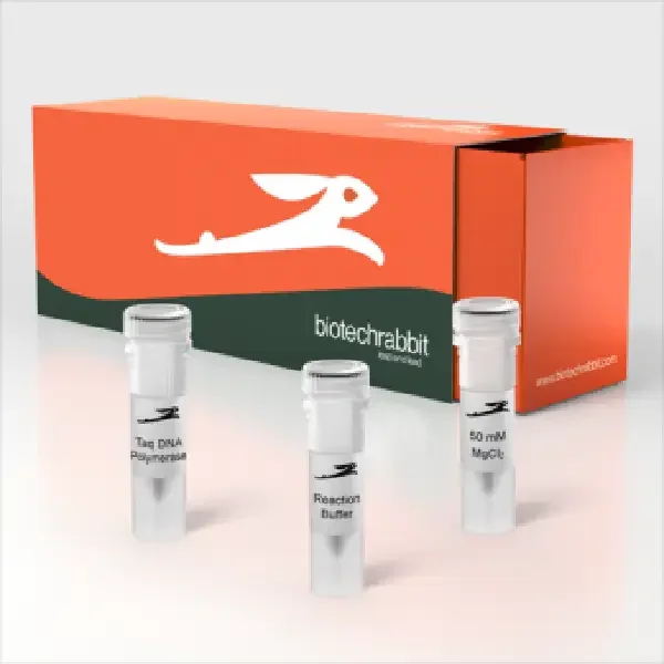 Taq DNA Polymerase, 5 U/µl