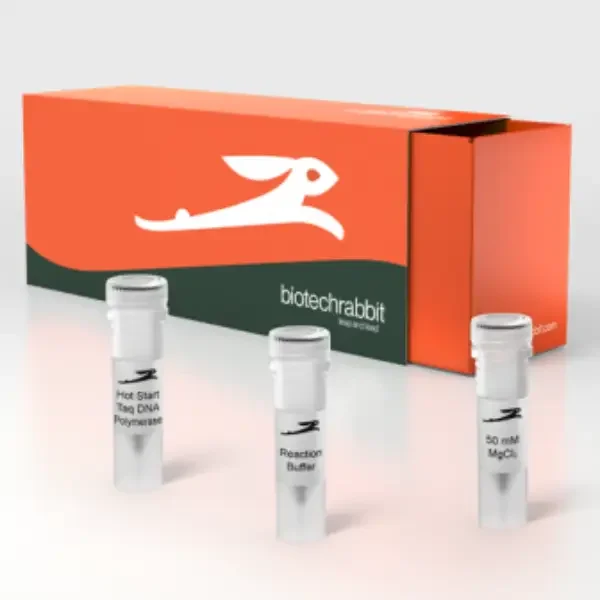 Hot-Start Taq DNA Polymerase, 5 U/µl