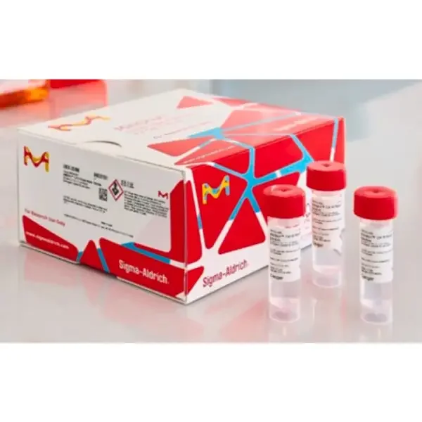 MilliShot Antibiotic Antimycotic Solution, 10,000 units penicillin, 10 mg, streptomycin and 25μg Amphotericin B per mL