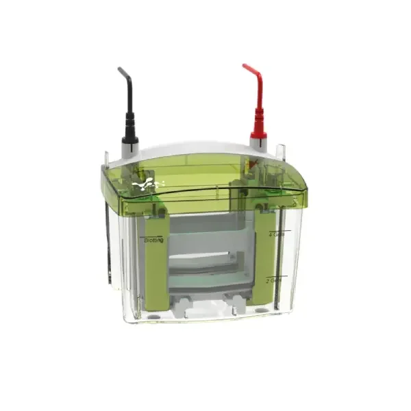 Vertical Electrophoresis Tank Protein Gel Electrophoresis Western Blot Apparatus System